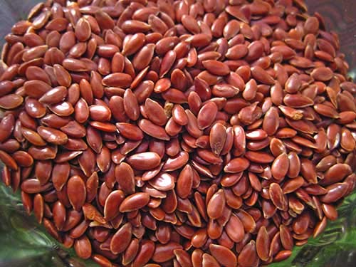 Organic Flax Seeds, Seed Type : Natural