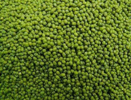 Organic Whole Moong Dal, For Cooking, Grade Standard : Food Grade