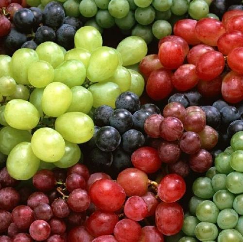 Organic Fresh Grapes, For Human Consumption, Certification : FSSAI Certified