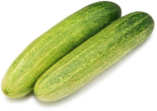 Organic Fresh Cucumber, Color : Green