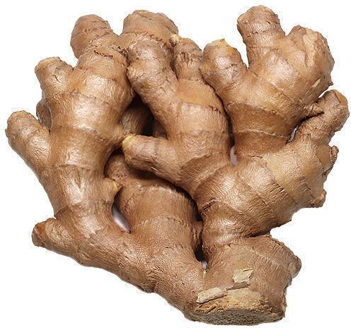 Organic Fresh Ginger, Packaging Type : Plastic Packet