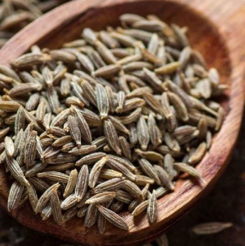 Natural Cumin Seeds, For Cooking, Spices, Certification : FSSAI Certified