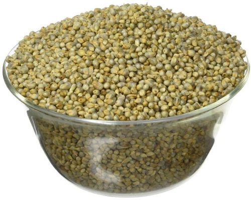 Organic Pearl Millet, For High In Protein, Packaging Type : Gunny Bag, Jute