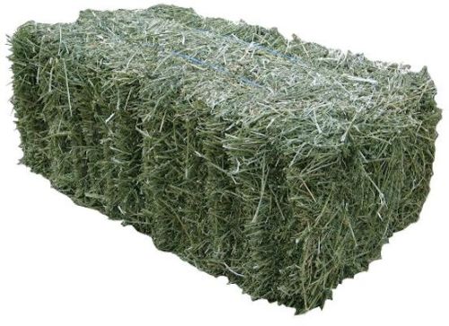 Alfafa Hay / Timothy Hay Wholesale Price