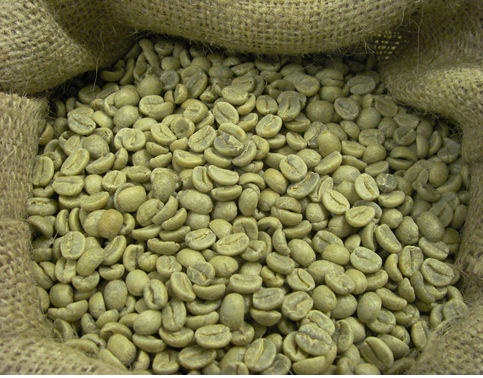 Best Quality ETHIOPIAN Coffee Beans For Sale