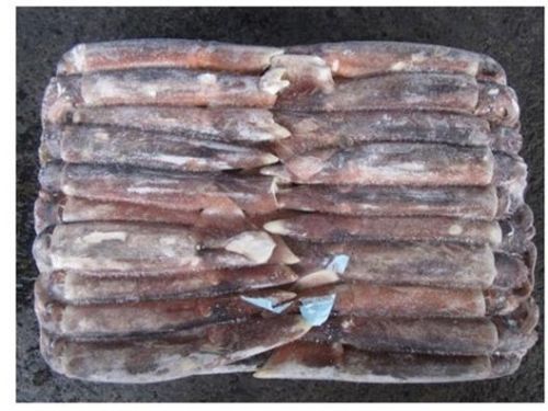 Frozen Illex Squid - Lllex Argentinian - Whole Frozen Illex Squid