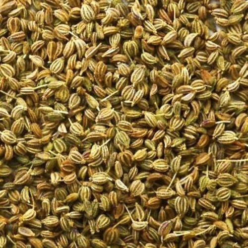 Natural Carom Seeds, For Cooking, Packaging Type : Plastic Packet, Paper Box