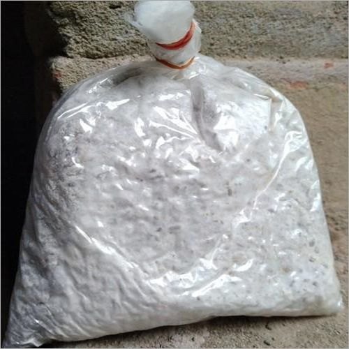 Natural Oyster Mushroom Spawn, Style : Wet