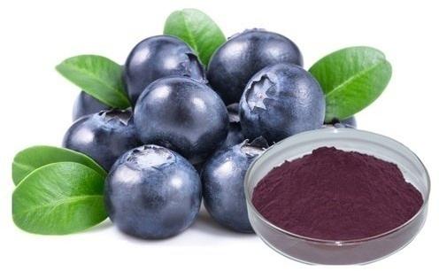 Organic Bilberry Extract, For Medicinal, Food Additives, Beauty, Packaging Type : Packet