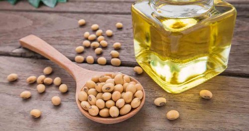 Organic Soybean Oil Seeds, Style : Raw