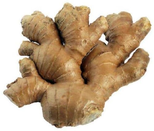 Organic Ginger, For Medicine, Packaging Type : Loose