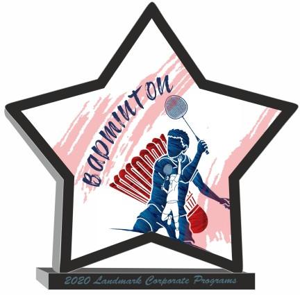 Budget Badminton Award