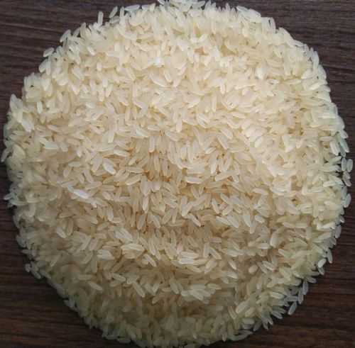 Hard Common Jasmine Rice, For Cooking, Food, Human Consumption, Certification : FDA Certified