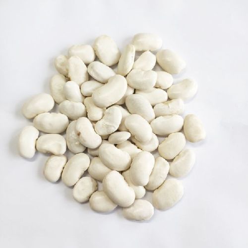 Common WHITE KIDNEY BEANS, For Agriculture Use, Feature : High In Protein, Non Harmful