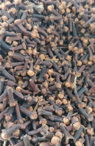 Clove, Packaging Type : Brown, Natural Brown, Form : Solid