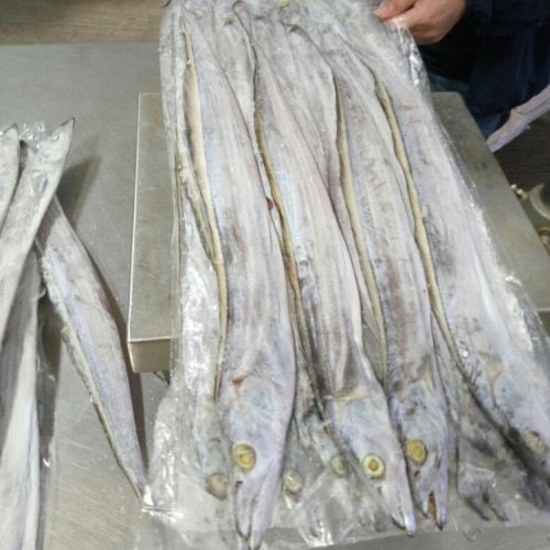 Dried Ribbon Fish, For Human Consumption, Feature : Non Harmful