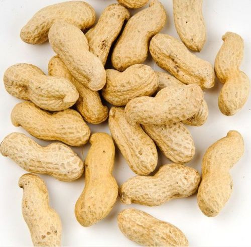 Shelled Groundnuts, For Making Flour, Making Oil, Making Snacks, Certification : FSSAI