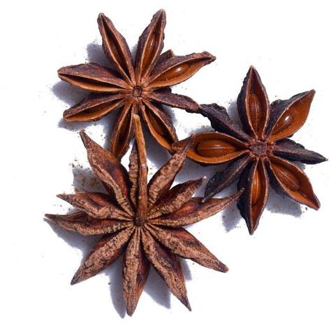 Star Anise, Feature : Accurate Composition, Antibacterial