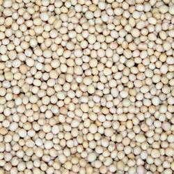 White Mustard Seeds, Packaging Type : Plastic Packet