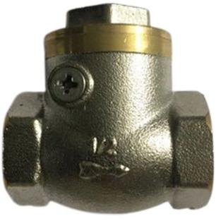 Delite Brass Check Valve