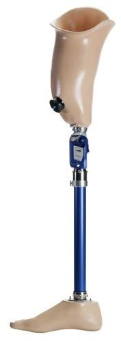 Functional Knee Prosthesis