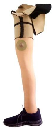 Knee Artificial Limbs