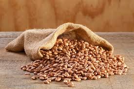 Common pinto beans, Form : Dried, Wet for Agriculture Use