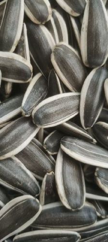 Sunflower seeds 7.795mm, Packaging Type : Brown