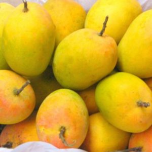 Mango, Shelf Life : 3months