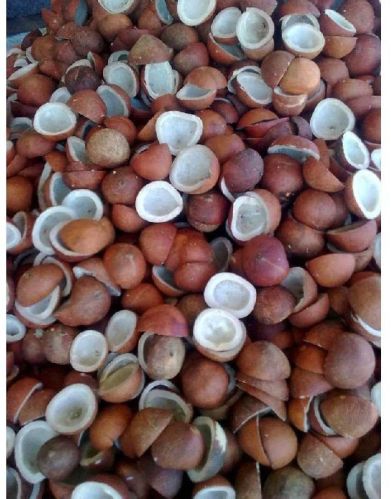 Round Organic Dried Copra Coconut, For Cosmetics, Medicines, Pooja, Food, Feature : Healthy