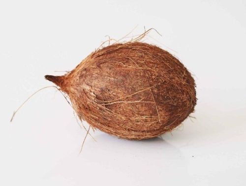 Natural Semi Husked Coconut, For Freshness, Good Taste, Packaging Type : Gunny Bags