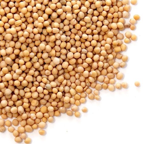 Natural Yellow Mustard Seeds, For Cooking, Packaging Type : Plastic Pouch, Paper Box