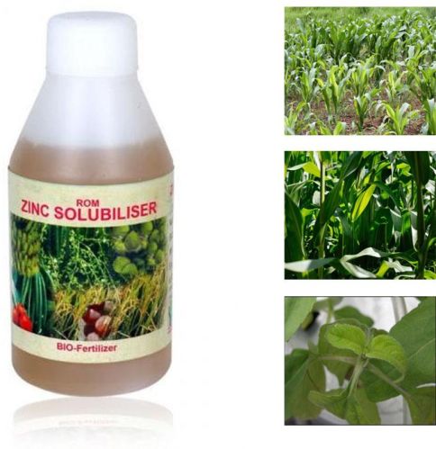 ROM Zinc Solubliser Liquid Biofertilizer, Form : Powder