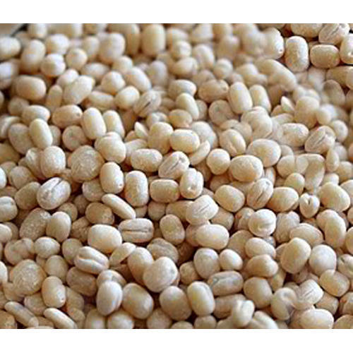 Organic Whole White Urad Dal, Packaging Type : Plastic Packet