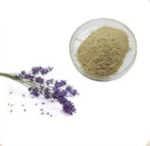 Lavender Powder, Packaging Type : Plastic Packet