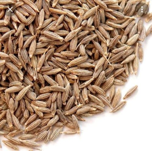 Raw Organic Cumin Seeds, For Cooking, Certification : FSSAI Certified