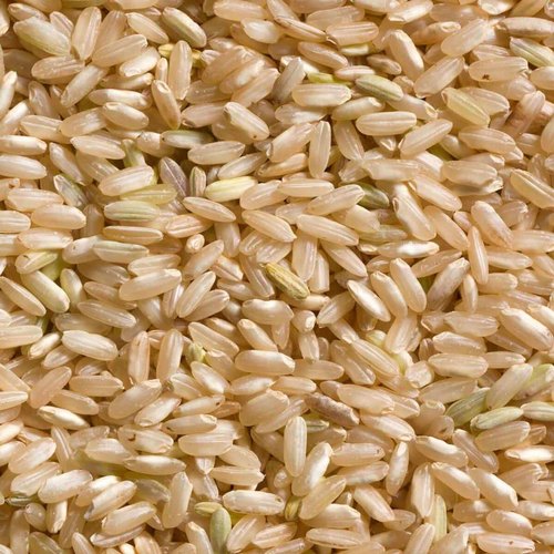 Organic Brown Non Basmati Rice, Shelf Life : 1year