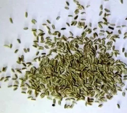 Chamomile Seeds, Certification : FSSAI