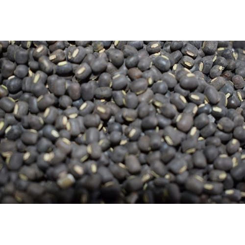 Organic Whole Black Urad Dal, Packaging Type : Plastic Packet