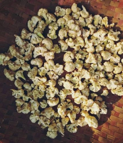 Organic Dehydrated Cauliflower, For Human Consumption, Certification : FSSAI Certified