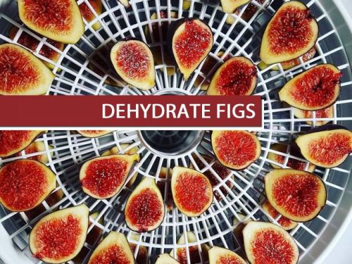 Dehydrated Figs, Shelf Life : 6 Months