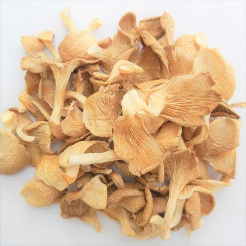 Organic Dehydrated Spawn Mushroom, Packaging Type : Plastic Bag