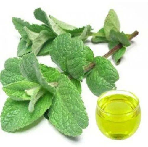 JS Aroma Peppermint Floral Water