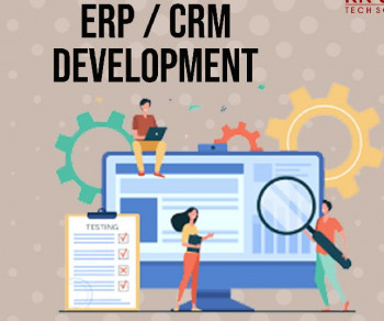 ERP Software Development Service