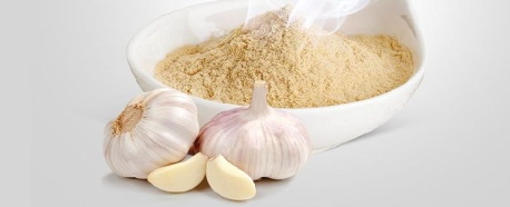 Garlic Powder, For Spices, Specialities : Rich In Taste, Non Harmful, Long Shelf Life, Good Quality