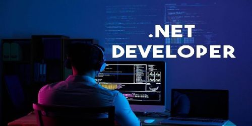 Asp Dot Net Developer Services