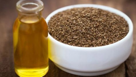 Organic Ajwain Oil, Form : Liquid