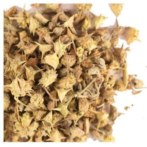 Dried Gokshura, For Supplement Diet, Grade Standard : Herbal Grade