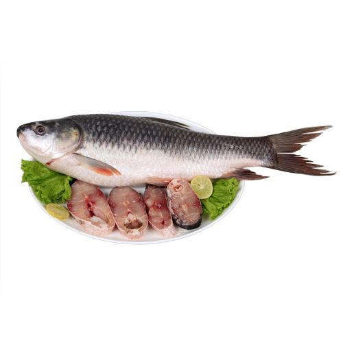 Fresh Fish Meat, For Household, Mess, Restaurants, Packaging Type : Carton