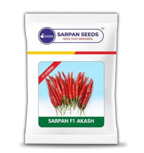 Non GMO Sarpan Akash Chilli Seeds, For Soil, Certification : DSIR Recognized